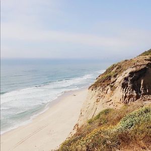 Meet your Posher, Lily